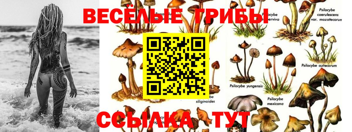 Псилоцибиновые грибы ЛСД Карпинск
