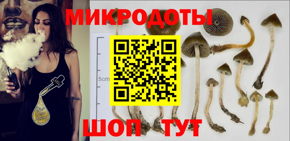 Карпинск  купить закладку  Вход с VPN  Галлюциногенные грибы Cubensis  Псилоцибиновые грибы GOLDEN TEACHER 